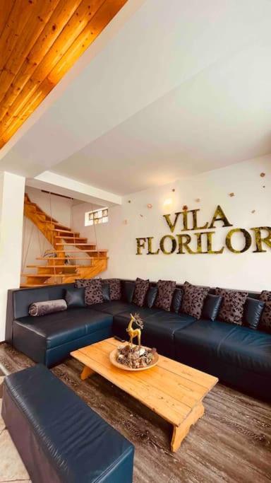 Vila Florilor Buşteni Dış mekan fotoğraf